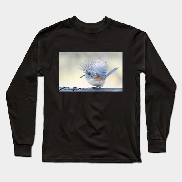 Feathered Fan Long Sleeve T-Shirt by LaurieMinor